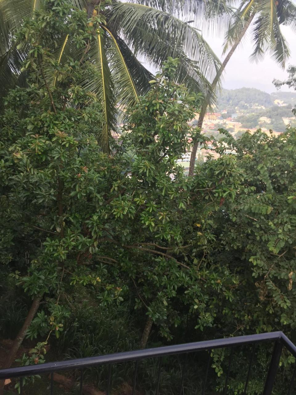 Upland Inn Kandy Exterior foto